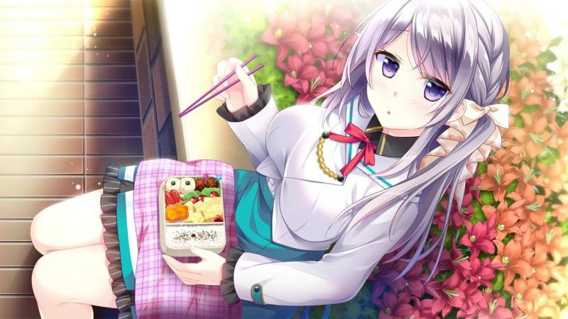 游戏：少女献鸣的爱之奏章  PC/2.6G