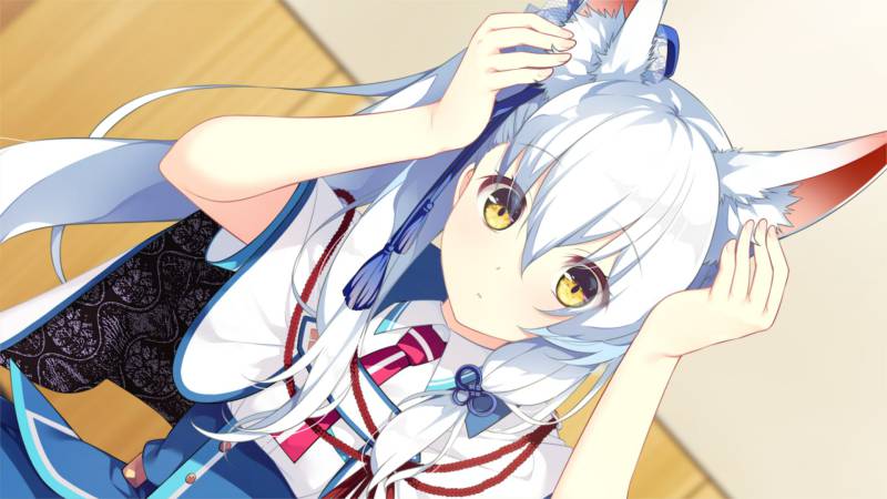 游戏名称：共结情缘的剑舞恋曲-椿恋歌-   PC/3.7G