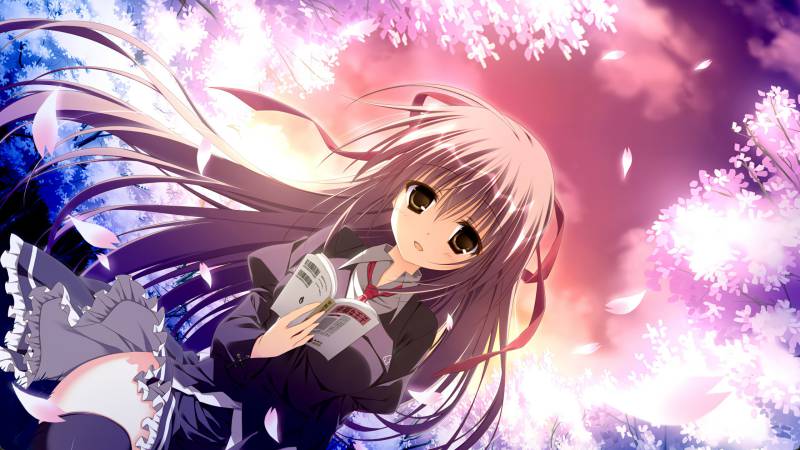 游戏名称：サクラノ詩－櫻の森の上を舞う－  安卓+PC/1.7G