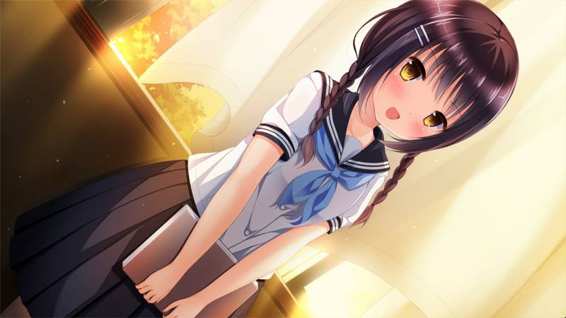 游戏名称：卡萨布兰卡之蕾/カサブランカの蕾    PC/2.9G