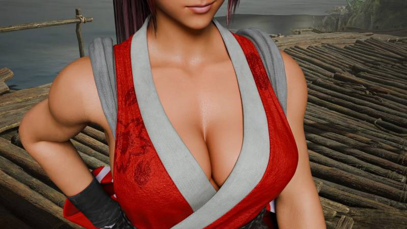 游戏名：头斗士  ：成人游乐场战斗       版号 Battle 8.2 AI汉化版