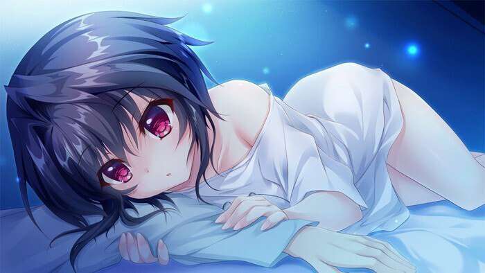 [拔作ADV/汉化/骨科/后宫/PC]9-nine：雪色雪花雪余痕 完整汉化版付全系列四部合集